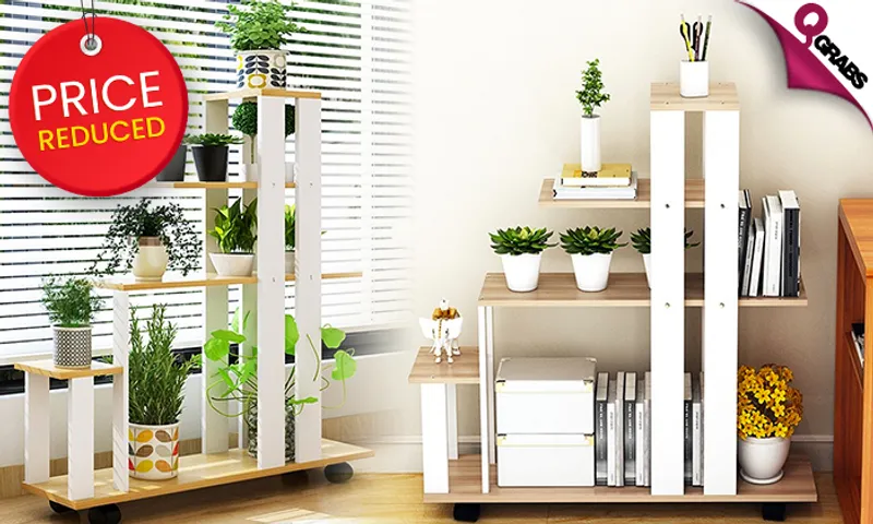DIY Ladder Shelf!